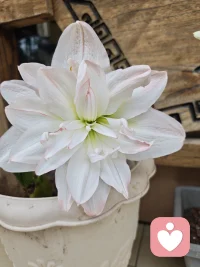 和自己和解的方式有很多种，可能是美景可能是美食，也有可能是一场旅行，一场运动，甚至一壶茶配图