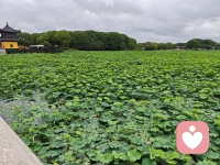 我不会急于给出建议，也不会随意评判对错，只是安静地倾听。任由你释放积攒已久的情绪，把委屈、迷茫还有心底所有压抑尽数讲出来。配图