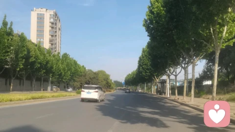 内心不断拉扯：被矛盾、扭曲与压抑困住的你，不必独自硬扛