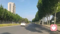内心不断拉扯：被矛盾、扭曲与压抑困住的你，不必独自硬扛