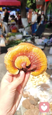 看吧！我也是不完美的…
   最近长痘了…
   今天逛了端午集市，发现了很多可可爱爱的东西…
  生活总是和柴米油盐酱醋茶挂钩的…
    有时候压力大的时候，可以去市场看看这热闹的景象…
    买买喜欢的东西和食物…回家做上一顿美食…
     你会发现活在当下就是最好的！
      没有过不去的过去，乱七八糟的现在，还没有发生的未来！
      吃好每顿饭，过好每一天！就是你对今天最好的馈赠！
      端午安康！愿我们心安宁，人康健！
      天天开心！岁岁平安！配图