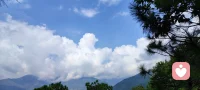 爱一个人是很痛苦的…
   所以，能不爱尽量别爱…
   有人传言说见过我！
    大家甄别一下！我从没有见过任何人哈！
   今天回老家捡菌子了，很开心……配图