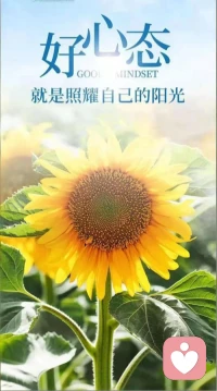 一招就能让你的很多病不药而愈
别用嘴，给自己“下咒”了，

听你诉说最近总是浑身乏力、小毛病不断，我特别能理解那种心有余而力不足的委屈。明明没干什么重活，却总觉得累，去医院查又没大碍，这种状态真的让人很挫败，先抱抱你。

其实，从心理学角度看，这往往不是身体真的“坏”了，而是潜意识在“抗议”。你回想一下，是不是总把“我太虚了”“我肯定又要病了”挂在嘴边？在心理咨询中，我们称之为“负面自我暗示”。语言是有能量的，当你反复否定自己，大脑就会接收指令，让身体真的进入“虚弱模式”，导致免疫力下降、气血不畅。很多时候，你的疲惫是被长期的负能量消耗出来的。

试着静下心来内观一下：当你抱怨身体差时，内心深处是不是在渴望被照顾，或者对现状有着深深的无力感？很多身体的淤堵，根源其实是心念太乱、情绪没被看见。

所以，咱们不妨换个方式“养”自己。从今天起，停止对身体“下咒”。每天醒来，试着在心里默念：“我今天身心通透，精力充沛”；睡前，感恩身体：“谢谢我的细胞，辛苦守护我一整天”。中医讲“境随心转”，心态通透了，身体的自愈力自然会被激活。别怕，慢慢来，当你开始温柔地肯定自己，那些小毛病，真的会悄悄散去。配图