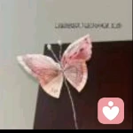 心中充满爱🦋❤️的头像