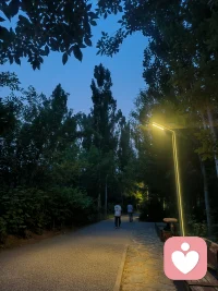 无论过去发生了什么，只要你现在是有目标的，且脚踏实地一步一步在向着目标行动，你就会少很多的焦虑和迷茫。

焦虑本质上是你对未来不确定性的恐惧，而一旦你踏上了通往了心之所向的目标之路，你便发现，再也没有机会胡思乱想。