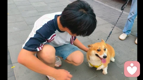 外人眼里懂事的娃,在父母面前为啥像换了个人?