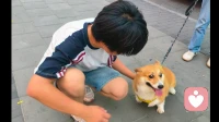 外人眼里懂事的娃，在父母面前为啥像换了个人？