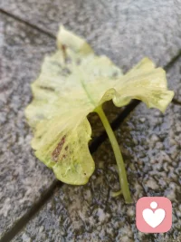 终日纠结内耗，是因为心事无人分担。
倾听烦恼，疏导情绪，慢慢放下心里执念。
 
 
日子总有不如意，不必一个人苦苦煎熬。
倾诉一番，解开郁结，轻松面对往后生活。配图