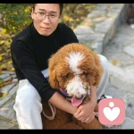 山河的头像