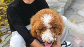 山河