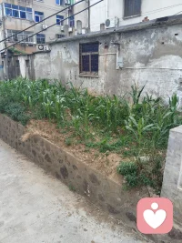 人的一生，看似简单，却承载了太多的情非得已，生活看似容易，却让人身心疲惫，每个人都有说不完的故事，只是学会了控制，生活是晨起的暮落，日子是柴米有盐，晚风吹人醒，万事藏于心，配图