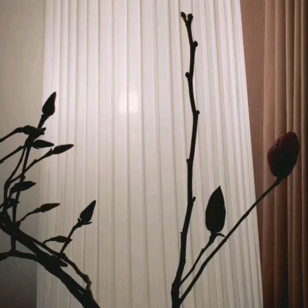 一梦听心