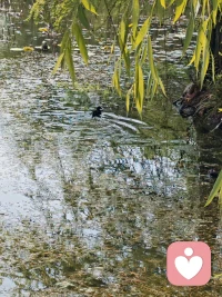 🌸总习惯向外求得偏爱与肯定，以为得到认可才算值得。后来才懂，圆满从来不在别人口中，而是我与生俱来的底色。我不用卑微迎合谁，不用委屈证明谁，旁人的夸奖是锦上添花，非议只是耳边风，都无法增减我半分珍贵。配图