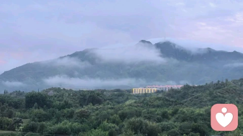 大雨浇醒梦中人