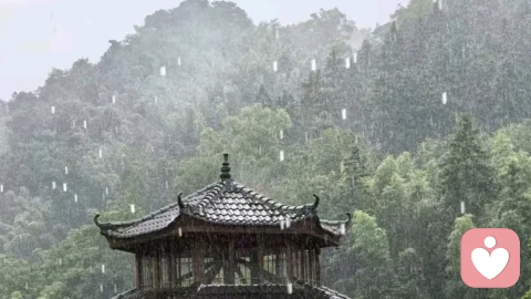 善良要有分寸