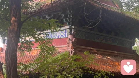 孩子的所谓叛逆,可能是一种补偿行为