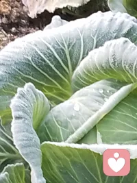 人生最大的解放就解放自己的枷锁，认识自己，放松自己，关爱他人。认同之人，与其共行，登上山峰。配图