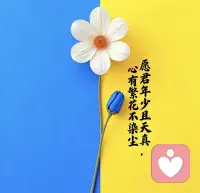 希望你都好 来唠唠家常吧 上菜