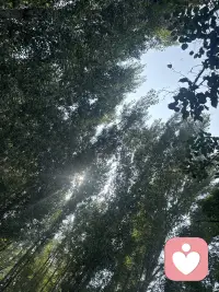 阳光总会照进来