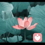 婧禾的头像