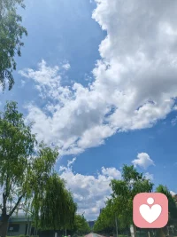 每个人都是我的一面镜子
​我如何对别人
​就是如何对自己
​
如果我的标准让我们彼此痛苦
那​每天放下一点点我的标准
​就是一点点放下执念

看见自我的情绪
照顾好自己的情绪
跳出自我的情绪
看见彼此

慢一点
柔一点
生活的一切也会慢慢温柔起来！