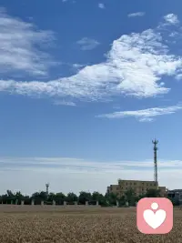 风吹麦浪，收割的季节配图