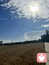 风吹麦浪，收割的季节配图