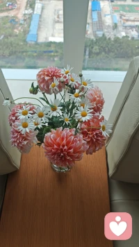 一束花，一场倾诉，还你美丽心情配图