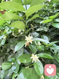 遭遇冷暴力、感情出现问题的修复方法

两个人相处久了，最伤感情的往往不是吵架，而是冷暴力和沉默疏离。冷暴力看似没有争吵，却会慢慢消耗彼此的信任、热情和安全感，让一方不断内耗、自我怀疑。想要修复有裂痕的感情、化解冷暴力，可以用温和且有效的方式慢慢调整。

首先，停止自我内耗、停止主动卑微讨好。被冷暴力时，人最容易不断反思自己、拼命解释、反复道歉，但越主动对方越冷漠。修复感情的第一步，是稳住自己的情绪，不纠缠、不追问、不卑微等待，先让自己心态平稳，才不会被对方的情绪牵着走。

其次，避开情绪高峰期，选择冷静沟通。对方冷漠时，不要硬碰硬争吵，也不要彻底冷战。等双方情绪平复后，用温柔平和的语气表达感受，而不是指责对方。可以说出自己的委屈、难受和期待，而不是质问“你为什么不理我”，减少对方的抵触心理，更容易打开心结。

第三，减少过度付出，适度保持距离。很多感情出现问题，是一方太紧、一方太松。适当拉开一点点距离，不时刻围着对方转，减少主动打扰，反而能让对方意识到你的存在、感受到你的重要性，慢慢主动靠近。

最后，重新建立正向相处氛围。感情修复不是靠一次沟通就能变好，而是靠持续的温和互动。减少负面抱怨、翻旧账，多一点包容、理解和正向沟通。如果双方都愿意让步、改变相处方式，冷暴力会慢慢消失，感情裂痕也会一点点愈合。

感情从来不是靠忍耐维持，而是靠互相珍惜、互相体谅，好好经营才能越走越稳。