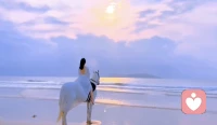 ～幸福就是把今天过好～配图