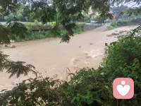 接连几日都在下雨，整座城市浸在水汽之中。盼一场放晴，也习惯了阴雨绵绵。配图