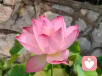 时间就像个筛子，
的过滤着你身边的人
无论亲情、友情、
还是什么情，
留住的都是精品！
只有相处时间长了，
经历多了，
就知道哪些人
可以留在生命里，
哪些人是可以渐行渐远的，
哪些人根本就可以忽略不计。配图
