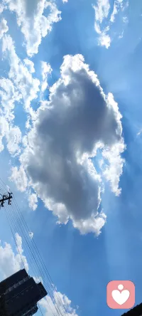连天空都是爱你的形状