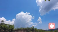 天是蓝的，草是绿的，你是自由的