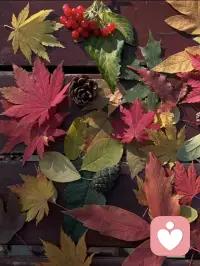 明知白云苍狗，此刻我是同谋。