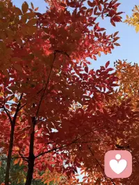 明知白云苍狗，此刻我是同谋。