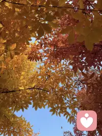 明知白云苍狗，此刻我是同谋。