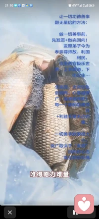 让一切功德善事翻无量倍的方法：

做一切善事前，先发愿+做完回向！发愿弟子今为孝亲尊师，故利国利民，往生西方极乐世界，上求佛道，下化众生…

念完后，念完仪轨后回向。心量越宽广，福德越殊胜！

每一个做的功德项目+利益无量无边的重。

一切善事的果报大小，宽广取决于“发愿”回向的心态配图