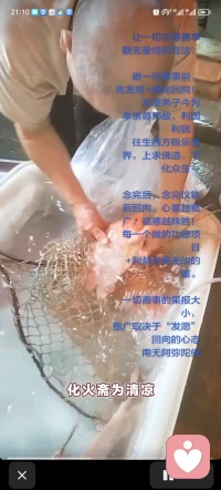 让一切功德善事翻无量倍的方法：

做一切善事前，先发愿+做完回向！发愿弟子今为孝亲尊师，故利国利民，往生西方极乐世界，上求佛道，下化众生…

念完后，念完仪轨后回向。心量越宽广，福德越殊胜！

每一个做的功德项目+利益无量无边的重。

一切善事的果报大小，宽广取决于“发愿”回向的心态配图