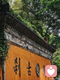 弥陀“愿力”对凡夫众生的“摄受”，四十八大愿之一：

在你的“成佛”之道当中，只要你去过一次极乐世界，再离开“极乐世界”以后，“绝对”不可能再到“三恶道”！

你生到极乐世界以后那个当下的现世果报，这个地方是讲到你离开了极乐世界以后，你未来的果报是怎么样。

在我成佛的世界当中，这个国中的人民……这个地方的天人，当然主要指的是这些带业往生的凡圣同居土的所谓的人民，都是凡夫众生。他投生到我极乐世界，受用我这一期的果报，在那个地方有种种的功德庄严。好了，等到他这一个极乐世界的寿命结束了，假设他来我极乐世界这么一趟以后， 在未来的生命当中又到三恶道去，那我就不取正觉。

我们在经论当中经常看到，我们往生极乐世界是一个什么样的功德庄严，但是倒很少听到说离开极乐世界是一个什么样相貌，比较少。但这个愿文就讲得很清楚了。就是说，只要你去一趟极乐世界，在你的成佛之道当中只要你去过一次，你这一次离开极乐世界以后，绝对不可能再到三恶道去了。

这是一个很重要的保证！

你现在盖一个义德寺，你敢保证说，你来过义德寺，住过一晚上，离开义德寺不到三恶道？很难！对不对？很难。在大陆有一个讲净土的法师，他讲一个观念是错误的。他说，诸位在座的很多都是从极乐世界回来的，只是 你自己糊涂忘掉了。这句话完全不合乎经意。你到极乐世界回来你还糊涂， 还忘掉，甚至有可能造业，甚至于堕落到三恶道，那跟这个本愿是违背的！你知道一个人不到三恶道去是什么阶位吗？至少是位不退——小乘的初果、大乘的初住，于实相理如实安住了，断了见惑的。断了见惑的菩萨有三种功 德：第一个，他成就道共戒。他永远不会造过失了，远离众罪。第二个，他生死将尽。他这个三界的生死即将结束。第三个，不堕恶趣。所以我们从这 个愿可以看得出来，只要这个人到极乐世界，享受很多很多的快乐、积集很 多的资粮，只要你到过极乐世界，出来，起码的保证，在你成佛之前，你没有这个三恶道的危机了。

我们如果读宗喀巴大师的下士道，就是刚开始修学的时候，会知道，他先求皈依。道前基础，皈依三宝，皈依上师，把三宝跟上师当作你救拔的对象。然后就是怎么样呢？下一个是什么？中士道，修出离心。诸位！你知道宗喀巴大师出离心怎么修吗？就是思惟地狱的苦啊。所有的菩萨要离开三界的原因都很简单，就是我不想到地狱去，所以我离开三界。所以宗喀巴大师说，思惟出离心就是：“已作地狱业，云何安稳住！”

虽配图