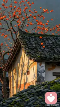 “忏悔”不是“赎罪”，而是“觉醒—”—净界法师教言启示

在佛法修学中，“忏悔”一词常被误解为“赎罪”——仿佛是对过往罪业的补偿，是卑微的认错求饶，是为了逃避果报而做的妥协。净界法师在讲解忏悔法门时，却一语点破其核心真谛：忏悔的本质从不是赎罪，而是一场向内的觉醒，是对生命轨迹的修正，是回归自性清净的必经之路。这一教言，打破了世人对忏悔的偏见，为修行者指明了一条直指心性的道路。

净界法师强调，赎罪的核心是“被动偿还”，认为罪业是外在的负担，需通过某种形式抵消，本质仍是对“罪”的执着，未能触及问题的根本。而忏悔的核心是“主动觉醒”，是通过观照自身身口意的造作，看清罪业的根源的是一念颠倒的妄心，是对烦恼的随顺与执着，进而生起厌离与惭愧，最终实现心念的转变。正如法师所言，佛弟子与非佛弟子的差别，不在于是否造罪，而在于是否有观照力，能否在罪业现前时及时觉醒，而非任由其沉沦。

忏悔的觉醒，始于对业果的正见认知。净界法师开示，业果决定、业果不失，罪业如种子，不忏悔便会在第八识中不断熏习，随因缘成熟而引发苦报。但忏悔并非否定业果，而是以惭愧心为根，以观照力为刃，斩断罪业的相续。高明寺沙弥偷吃常住食物一年，梦中受关公呵责而重病，他未怨天尤人，而是觉醒到自身的过错，以真诚心修忏，最终病痛消除，这正是忏悔觉醒的力量——不是逃避果报，而是主动扭转生命的轨迹。

这种觉醒，体现在“悔过往”与“止未来”的双重践行中。净界法师将忏悔拆解为“悔”与“忏”：“悔”是对过往恶业的耻心与厌弃，是看清自己被烦恼裹挟的糊涂；“忏”是对未来的坚定发愿，是誓愿断恶修善，不再被妄心左右。这种觉醒，不是一时的情绪波动，而是对心性的持续观照——在第六识生起妄想时及时喝止，在第七识执取我法二执时看破虚妄，让善根取代恶业，让清净取代染污。

世人常执着于“赎罪”的形式，以为拜忏、诵经便是忏悔，却忽略了内心的觉醒。净界法师提醒我们，忏悔的关键是“罪从心起，将心忏”，罪业由妄心生，亦由真心灭。真正的忏悔，是不再执着于“我有罪”的执念，而是觉醒到“我本清净”，只是暂时被烦恼遮蔽；是不再向外寻求救赎，而是向内唤醒本具的智慧与慈悲。

忏悔不是卑微的妥协，而是高贵的觉醒；不是对过去的纠缠，而是对未来的负责。净界法师的教言，让我们明白，忏悔的终极意义，是打破罪业的循环，唤醒本自具足的清净自性，让每一次忏悔都成为生命向上的阶梯配图