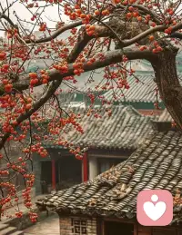 ，什么是“定自在所生色”？
八地“以前”的菩萨和“八地”以上的菩萨的区别
第二种叫作定果色，又叫作定自在所生色，是佛菩萨禅定的三昧力所变现出来。

佛在世的时候，有一个大富长者，他中年以后生了一个儿子。晚年得子，所以特别宠爱。慢慢长大了，当然，这个公子哥他也不要去工作，就有衣食的受用。这个公子经常跟有钱的公子到处玩。有一天参观马戏表演的时候，他喜欢上一个女孩子，回去告诉他的母亲说，我要跟这个女孩子结婚。他母亲说，不可以！我们是贵族，这个女孩子是贱族，这怎么能够结婚呢？这个公子说，要是不跟她结婚，我就没办法活下去了。母亲没办法了，就请媒人去跟马戏团的主人沟通一下，说我们的公子要娶你们的这个小女孩。马戏团的主人说，不可以呀！你们是贵族，我们是贱族，我们不能通婚的。媒人就回来报告。母亲就说，你看吧，我就跟你讲，你跟她不能结婚！这公子说，我要是不跟她结婚，我现在就不能吃饭了，就准备饿死了。母亲没办法，就准备更厚重的礼，去拜访这个马戏团的主人。当然这个主人就被他感动了，说，这样子好了，我们有我们的规矩，你要娶我们家的女孩子，你要来参加我们的表演，把我们这些马戏技术学会了，你才可以娶我们的女孩子。

一个人心中有愿望的时候，不能做，要他做！他就参加这个马戏团。欸，他很快就把这个技术给学会了，学会以后就参加考试了。当然，他很快地就把很多的技术都考过。最后一关叫作空中走索，在虚空当中有一个钢索，拿一个竹竿就这样走过去。本来他是很熟练的，但是他后来体力不支了，走到一半的时候脚开始战抖，眼看着就马上要掉下去，这个时候目犍连尊者出现了。目犍连尊者说，你现在有两个选择：第一个，你掉下去，死掉，不要说娶女孩子，你连生命都没有了；第二个，你跟我出家，我保障你安全。当然，这个公子一想，哎哟，我要是不答应他的话，我就马上死掉了。好吧，那就答应吧。答应了以后，目犍连尊者那个三昧力就把下面的钢索马上变成大地，这个公子就很快走过去了。

他就能够感受到那种大地的颜色、那个触尘，整个就像是大地的感觉，就这样走过去了。当然下面的人就欢呼啊，哎呀，你怎么就走这么快呢！马上要把这个女孩子嫁给他。这个公子说，不要了，爱是苦本，我差一点因此牺牲生命！后来他就跟目犍连尊者出家，也证得阿罗汉果。

这个地方意思就是说，那个公子在走的过程当中，的确受用到一个大地的果报，但别人看的是一个钢索。那这怎么回事呢？这个叫作定自在配图
