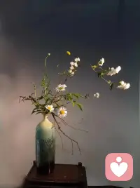 菩萨戒“说四众过戒”

好，我们看第六条，说四众过戒。这一条戒，是十波罗夷里面的第六条，属于菩萨的增上戒。你能够受持这条戒，对你整个的功德有强烈的增上的效果。
反过来，你犯了这条戒，对你的阴德、对你的功德将会有所损失。这条戒的意思就是宣说四众过，它的对象是四众。这个四众包括了大乘的两众跟小乘的两众。大乘是包括受了菩萨戒的出家跟在家的两众，小乘是包括比丘、比丘尼的两众。一个菩萨宣说在家菩萨、出家菩萨，或者出家比丘、比丘尼，他犯了杀盗淫妄的重大过失，即使你讲的是真实的，你也犯了菩萨波罗夷罪，是这个意思。因为你没有必要宣说，对你、对他都没有好处，自他两伤。配图