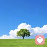 人在过的很好的时候，就会原谅很多事情，因为自己的内心有了力量，就懒得跟外界较劲。
有人曾经说过，山顶的风，永远不与谷底的尘埃作战。所以精神海拔决定包容了的半径。人强大到能自我满足时，别人的冒犯，就变成了蚊虫叮咬
