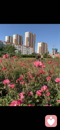 我们都在自己的幸福当中去瞻望别人的幸福，有几个人能明白你自己的日子也被别人羡慕着。