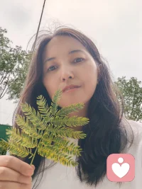 一片（很多片）渐变中的合欢花叶，很漂亮