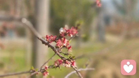 二婚相亲相恋：我退让无数次，却始终排在他孩子之后