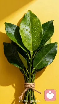 人间许多难解的结，常于心终未放下的情谊有关，学会调整心态，不纠缠于过往，将经历转化为人生的积淀，带着积累的智慧与领悟，继续前行，迎接新的可能。配图