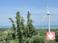 端午佳节出门旅游切换心情
是最佳的转换模式
第一次加入这里，期待与大家擦出更多火花
也想成为一名倾听师配图
