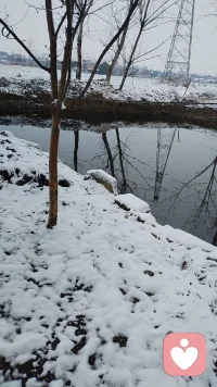 人就向清水，遇到寒冷，就成雪结冰，我们用鲜花融化冰雪，找回自己，重新成为清水。配图